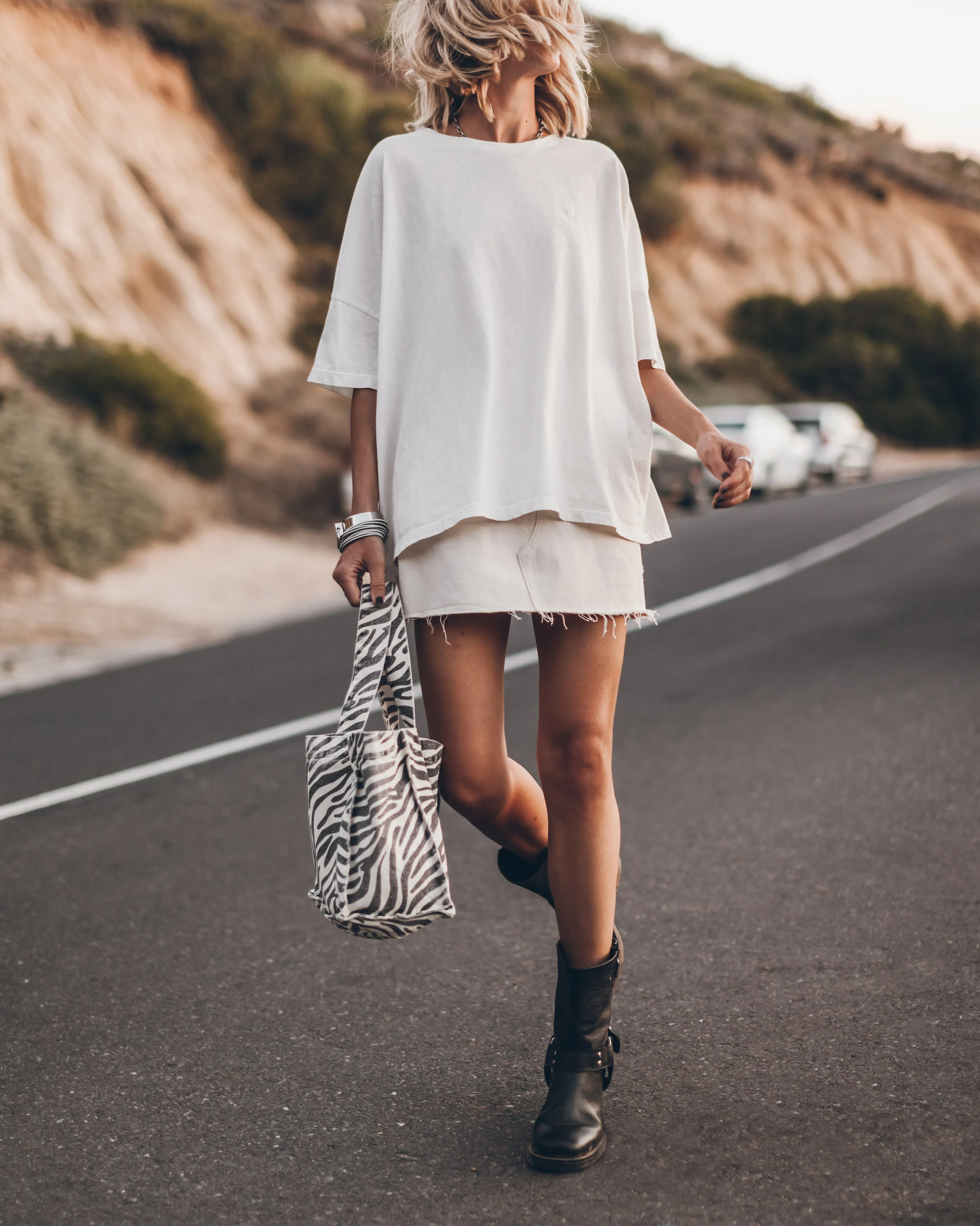 The Zebra Small Canvas Bag